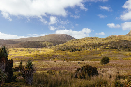 Ronny Creek at Cradle Mountain in Tasmania Australiaの写真素材