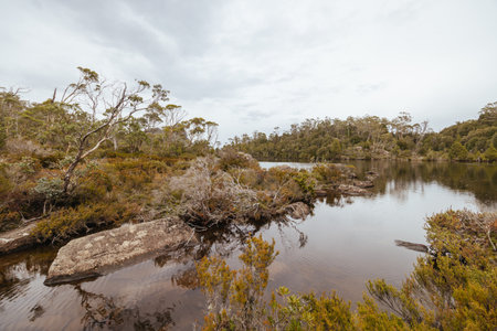 Lake Price in Tasmania, Australiastの写真素材