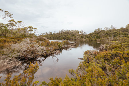 Lake Price in Tasmania, Australiaの写真素材