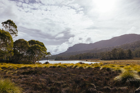 Arm River Track in Tasmania Australiaの写真素材