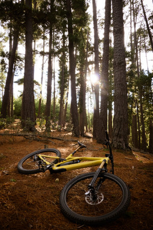 Djuwang Baring Mountain Bike Park in Creswick Australiaの写真素材