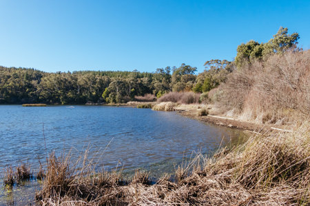 St Georges Lake in Creswick Australiaの写真素材
