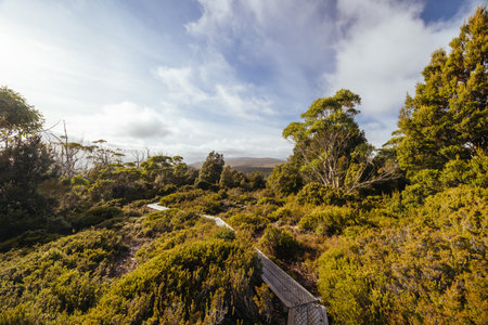 Barn Bluff Morning View in Tasmania Australiaの写真素材