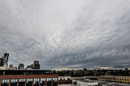 View towards South Yarra from Cremorne in Australiaの写真素材