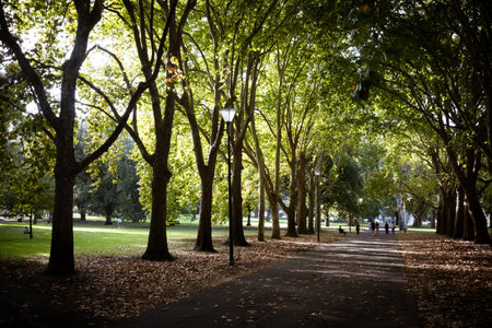 Carlton Gardens in Melbourne Australiaの写真素材