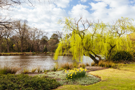 Castlemaine Botanical Gardens in Castlemaine Australiaの写真素材