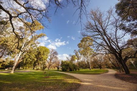 Castlemaine Botanical Gardens in Castlemaine Australia