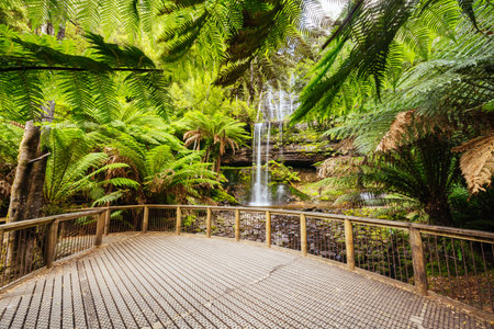 Russell Falls in Mt Field National Park Tasmania Australiaの写真素材