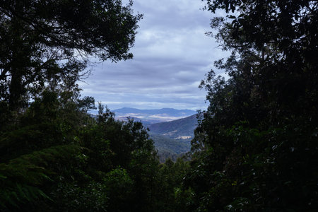 Lake Dobson Area in Tasmania Australiaの写真素材