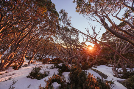 Mt St Gwinear Sunrise in Australiaの写真素材