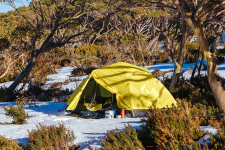 Mt St Gwinear Snow Camping in Australiaの写真素材