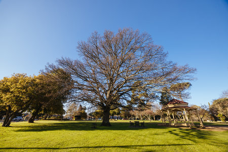 Town of Braidwood in Australiaの写真素材