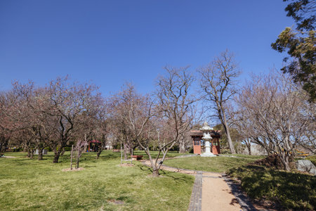 Canberra Nara Peace Park in Australiaの写真素材