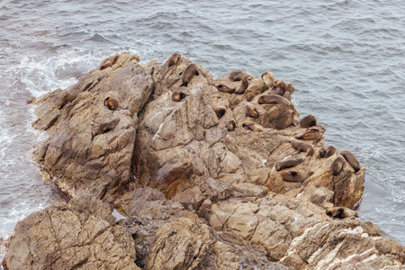 Burrewarra Point Guerilla Bay in Australiaの写真素材