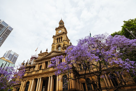 Sydney Town Hall in Australiaの写真素材