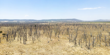 Winton Wetlands in Victoria Australiaの写真素材