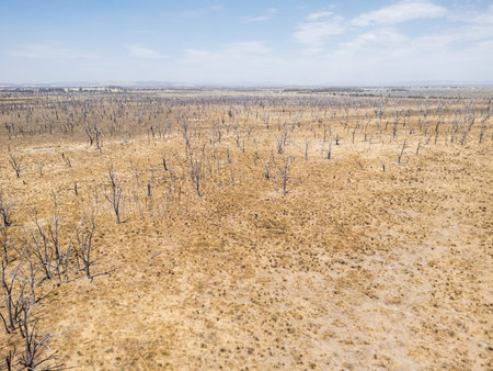 Winton Wetlands in Victoria Australiaの写真素材