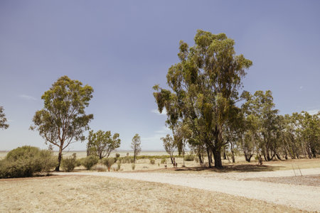 Winton Wetlands in Victoria Australiaの写真素材
