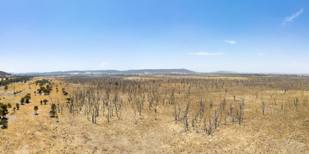 Winton Wetlands in Victoria Australiaの写真素材