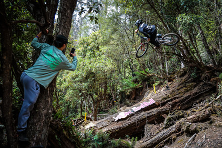 2026 Red Bull Hardline Tasmania - Seeding