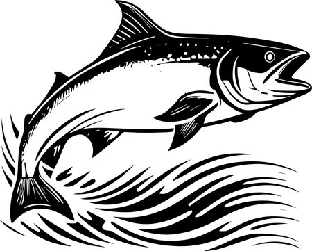 Salmon Fishing Monochrome Design Styleのイラスト素材