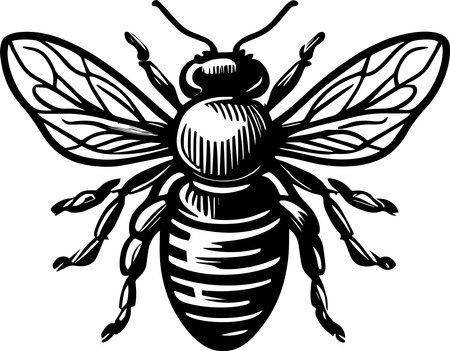 Honey Bee Monochrome Design Styleのイラスト素材