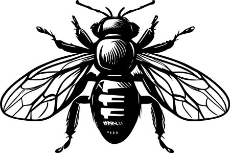 Honey Bee Monochrome Design Styleのイラスト素材