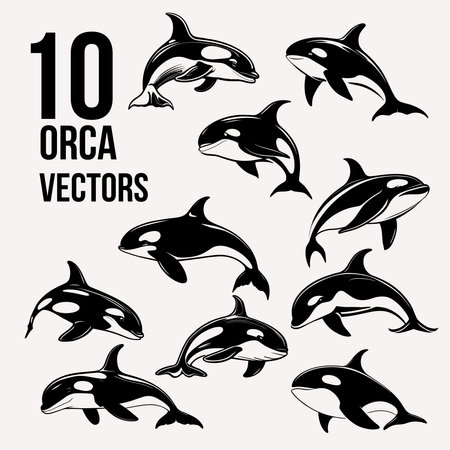 Orca Collection Set Monochrome Designのイラスト素材