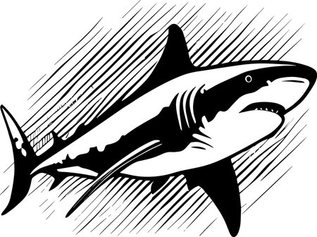 Great White Shark Monochrome Designのイラスト素材