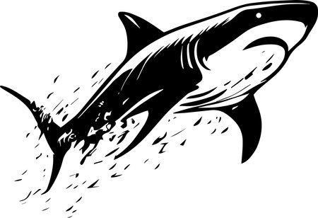 Great White Shark Monochrome Designのイラスト素材