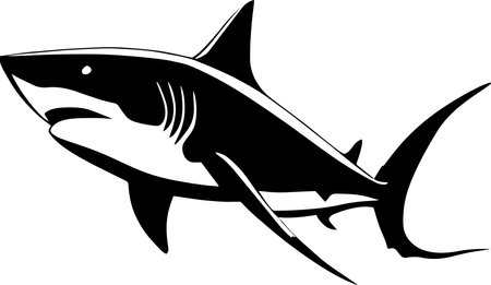 Great White Shark Monochrome Designのイラスト素材