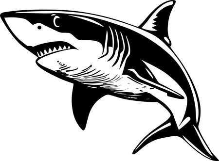 Great White Shark Monochrome Designのイラスト素材