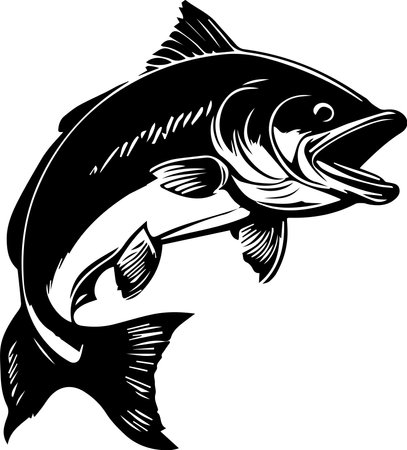 Salmon Fish Black Colorのイラスト素材