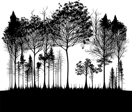 Trees Silhouette Black Colorのイラスト素材