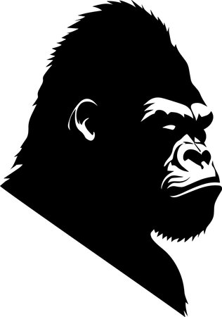 Silverback Gorilla Black Colorのイラスト素材