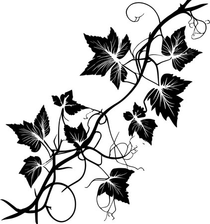 Vines Monochrome Design Styleのイラスト素材
