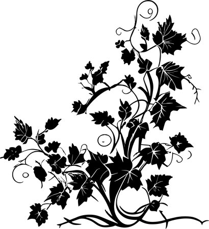 Vines Monochrome Design Styleのイラスト素材