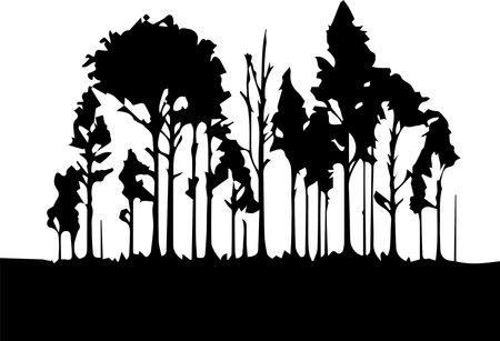Forest Trees Silhouette Logo Monochrome Design Styleのイラスト素材