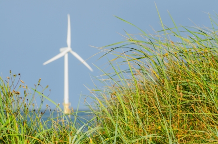 A view of a sea wind turbine generator through green grassの写真素材