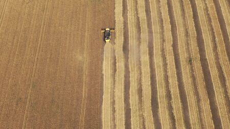 Aerial view on the combine working on the large wheat field, Harvester on the wheat field, View from aboveの写真素材