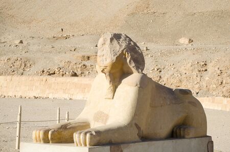 Sphinx near Mortuary Temple of Hatshepsut in Luxor, Egyptの写真素材