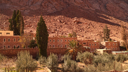 A building and an olive grove on the slopes of barren mountains. The Monastery of St. Catherine...