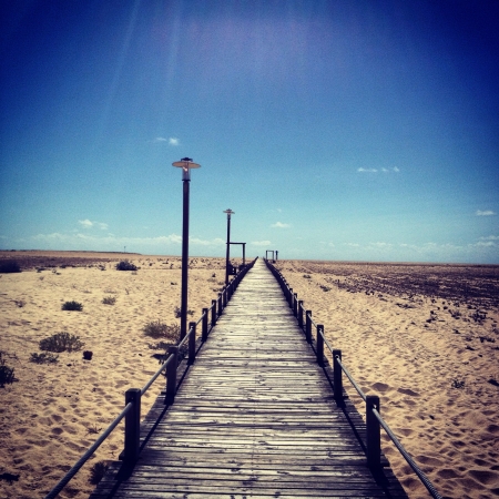 Wood walkway into the beach の素材