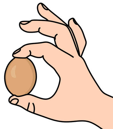 Hand hold egg vectorのイラスト素材