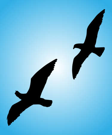 seagull silhouettesのイラスト素材