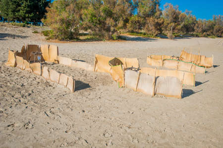 Greece, Zakynthos, Zante - one of famous Caretta turtle nestの写真素材