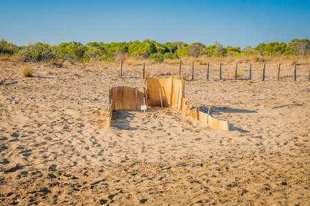 Greece, Zakynthos, Zante - one of famous Caretta turtle nestの写真素材