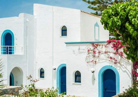 Greek architecture - white buildings, sea and blue windows, Bougainvillea on the wallの写真素材