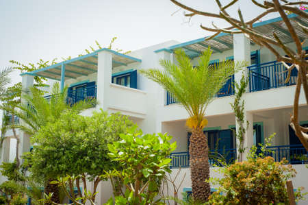 Greek architecture - white buildings, sea and blue windowsの写真素材