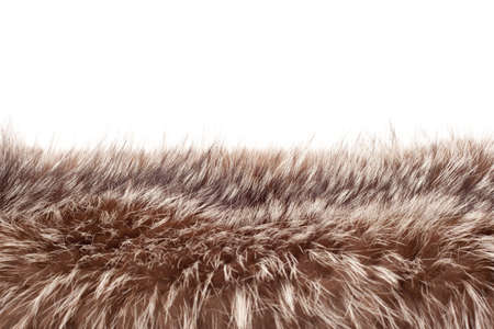 Brown a white fox fur